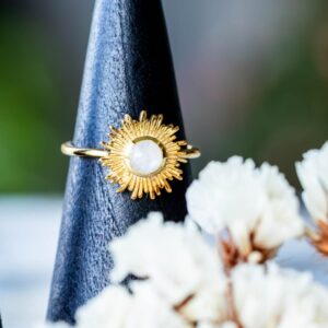 Design sans titre 13